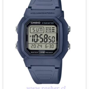 Casio W800
