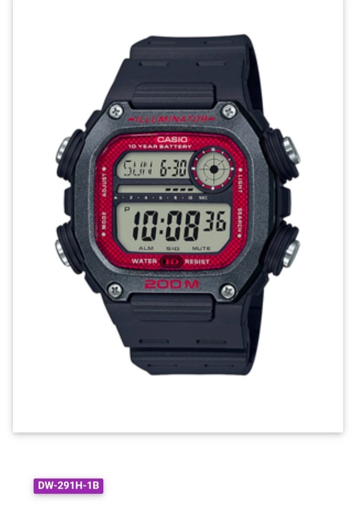 Casio DW291H