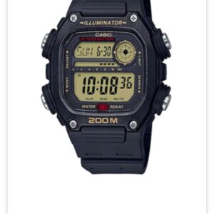 Casio DW291H