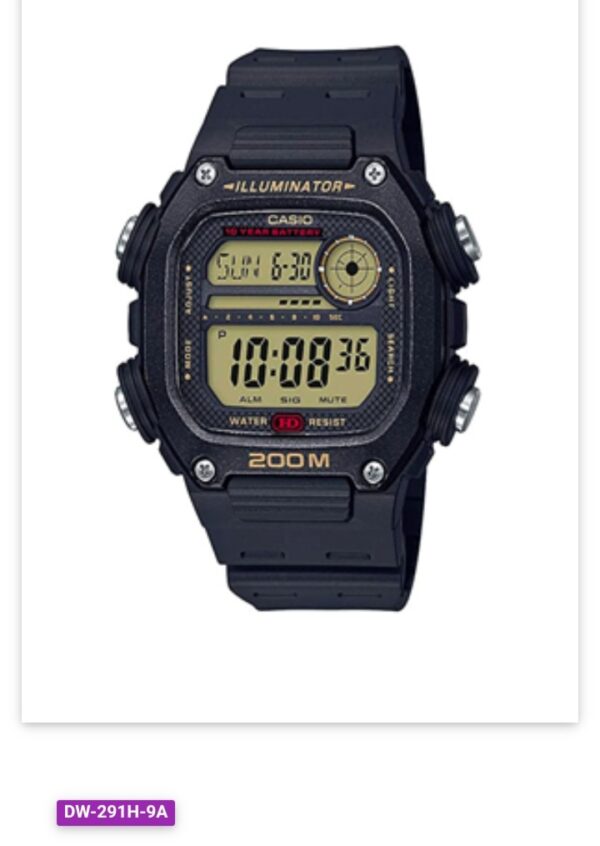 Casio DW291H
